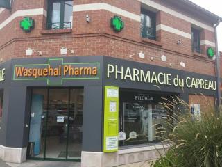 Pharmacie Pharmacie Du Capreau 0