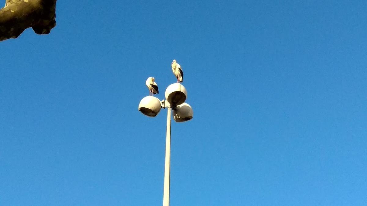 Pharmacie Du Rocher Selas Abcd