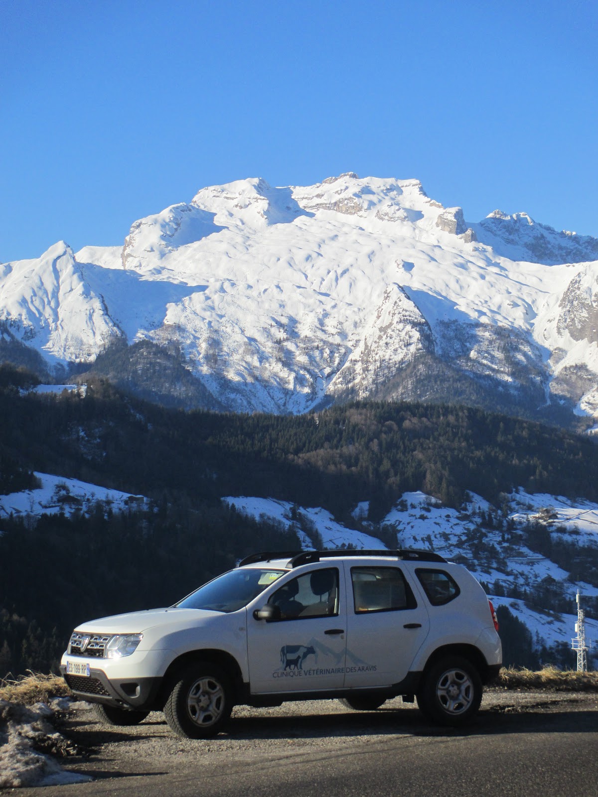 Clinique Vétérinaire des Aravis (Thônes)
