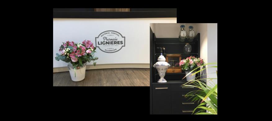 Pharmacie Lignieres