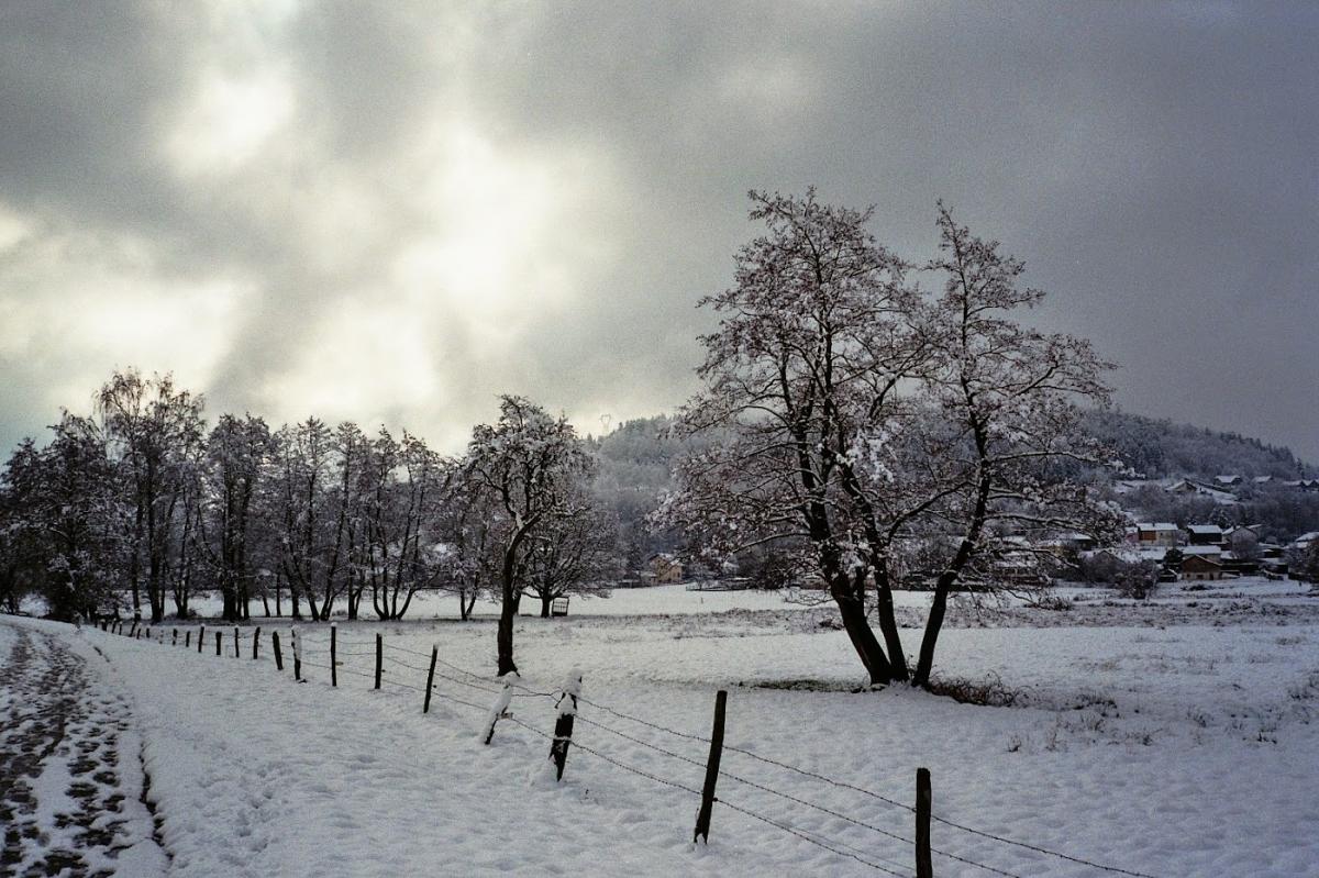 Selarl Pharmacie Cassagnou