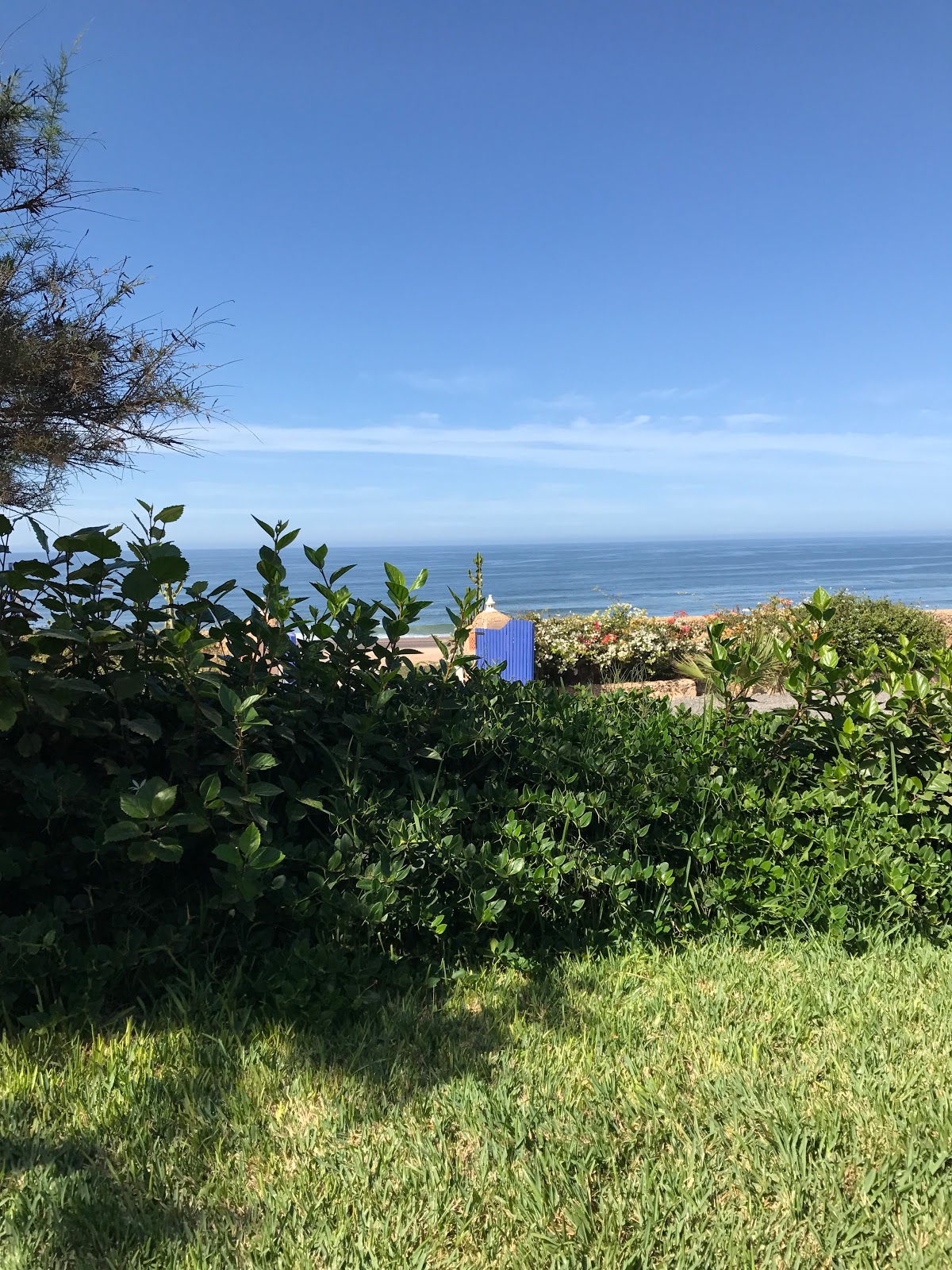 Pharmacie Bertrand Hervé