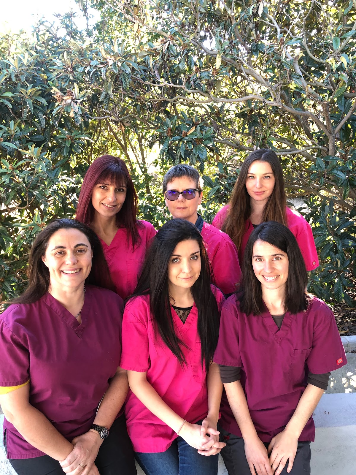 Clinique Vétérinaire Aubagne de la Calypso