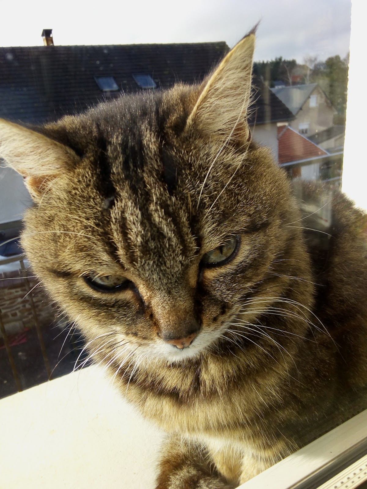 La Pharmacie de Tournes