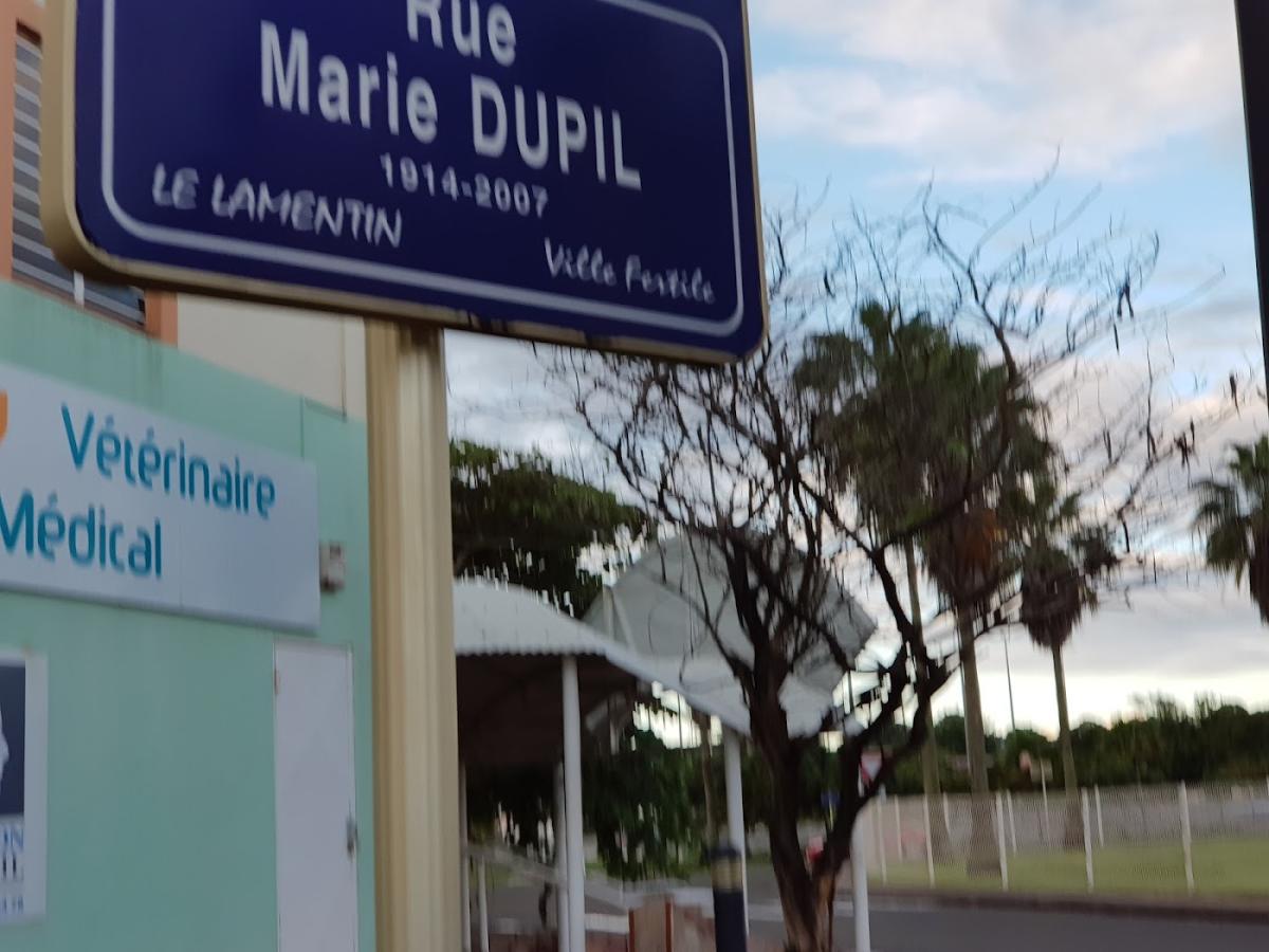 Pharmacie Monan Zamy