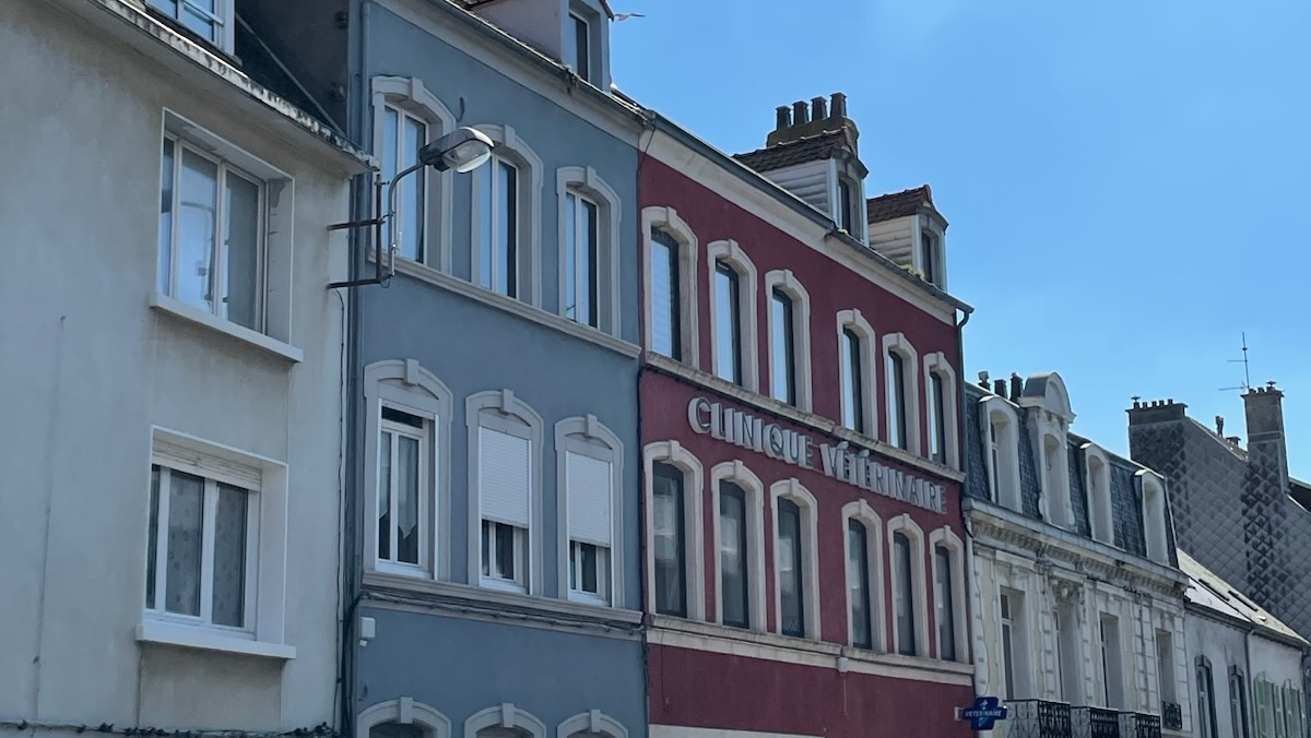 Clinique vétérinaire Perrochel de Boulogne-sur-Mer - Sevetys
