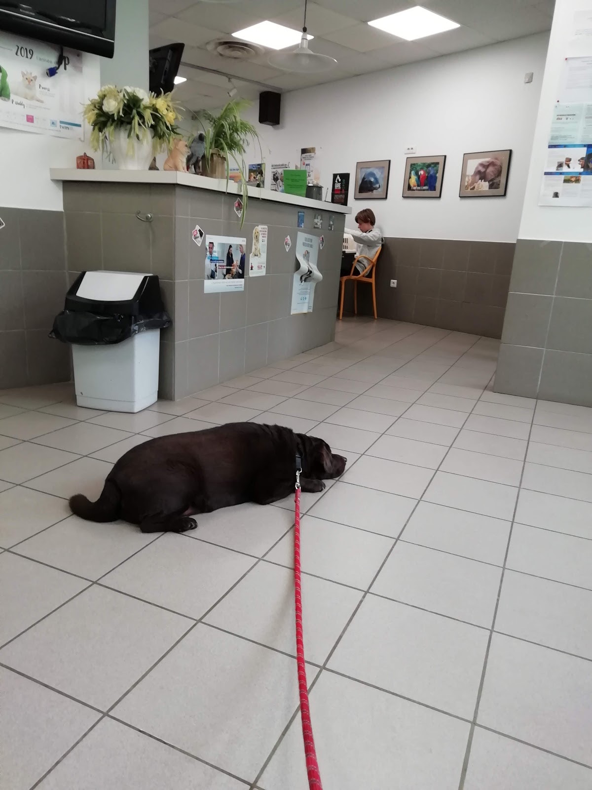 Clinique Vétérinaire