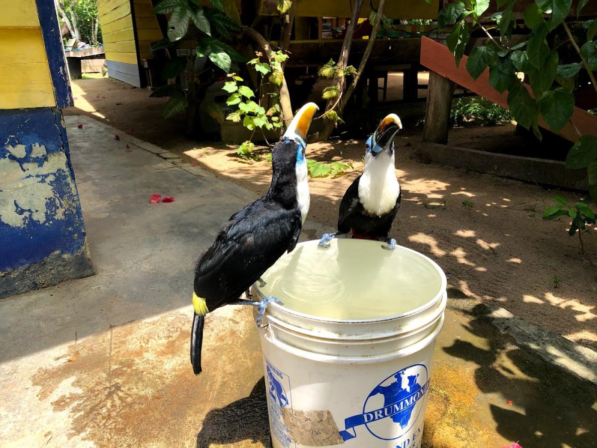 Pôle Santé de Rémire Montjoly