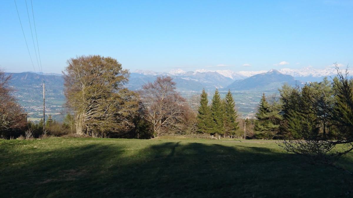 Pharmacie du Salève