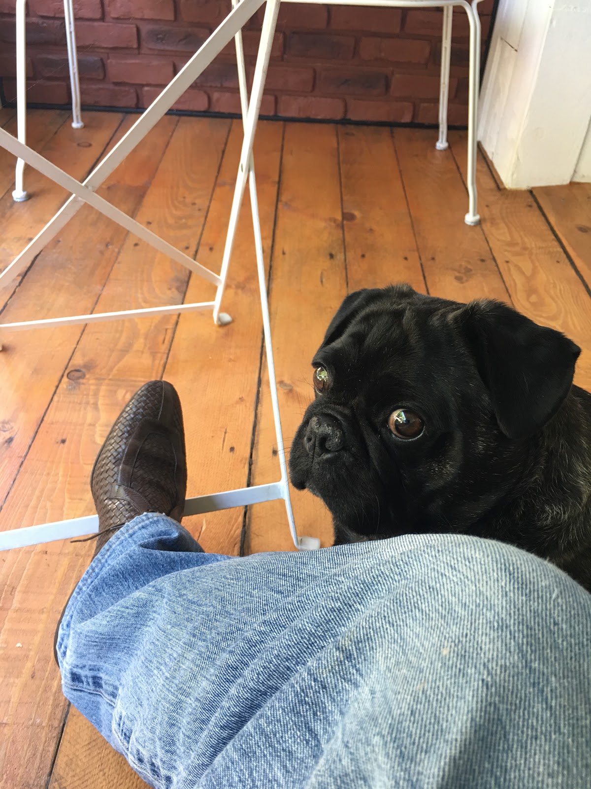 Pharmacie Asselin Scanu