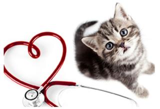 Pharmacie Clinique vétérinaire CVA Antony 0