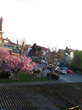 Pharmacie Pharmacie Jean Bart 0