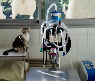 Pharmacie CLINIQUE VETERINAIRE DE CONFLANS. 0