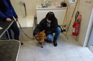 Pharmacie Vétérinaire à Domicile de Montpellier - Dr Lamure-Sauvaire 0