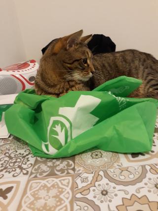 Pharmacie Pharmacie du Centre 0