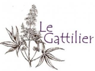 Pharmacie Pharmacie de GATTIERES 1