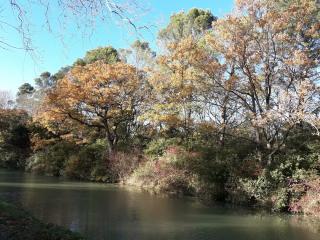 Pharmacie Pharmacie Huc J 0