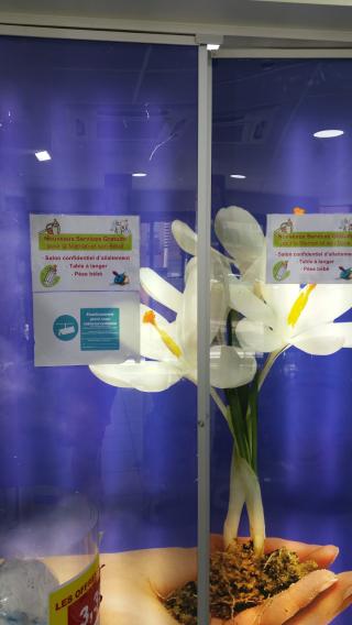 Pharmacie Pharmacie O Vert 0