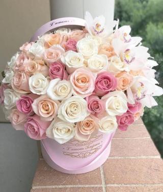 Pharmacie Pharmacie Des Plantes 2