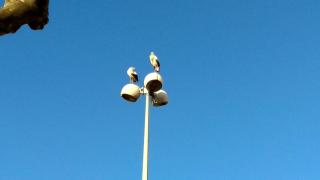 Pharmacie Pharmacie Du Rocher Selas Abcd 0