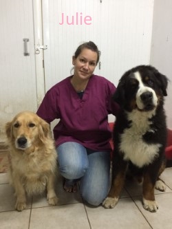 Pharmacie Vétérinaires de Haute Charente 0