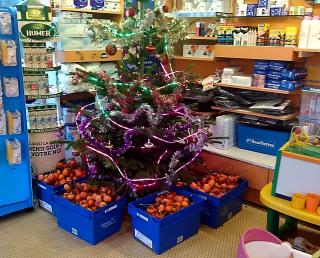 Pharmacie Pharmacie Brenaut 1