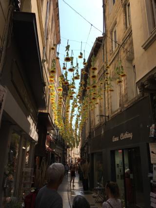 Pharmacie Pharmacie Tarot 0