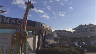 Pharmacie Pharmacie Prado David Plage 0