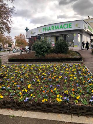 Pharmacie Pharmacie Viviani 0