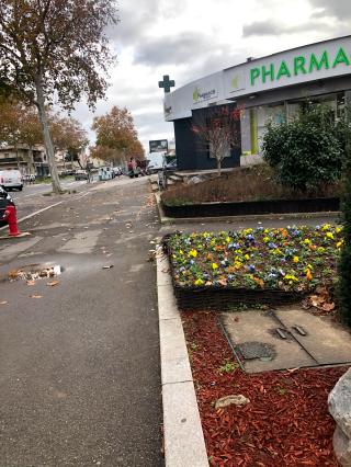 Pharmacie Pharmacie Viviani 0