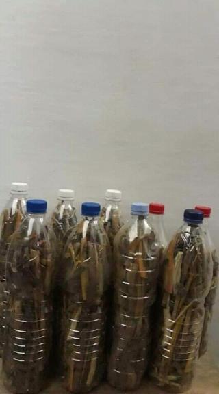 Pharmacie Pharmacie Du Boulevard National. 0