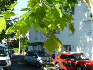 Pharmacie PHARMACIE CATAMARAN 0