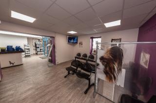 Pharmacie Clinique Vétérinaire Jean Jaurès Urgences 24H/24 et 7J/7 Corbeil-Essonnes 91 0