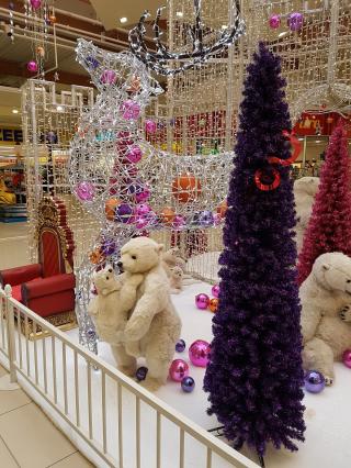 Pharmacie Centre Commercial Carrefour Draguignan 0