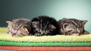 Pharmacie Pharmacie De La Plaine (France veto) 0