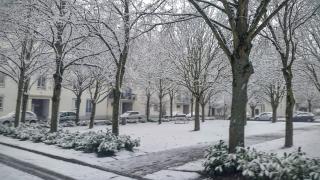 Pharmacie Pharmacie du Grand Sapaillé 2