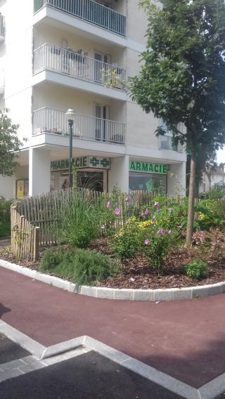 Pharmacie Pharmacie Straub 0