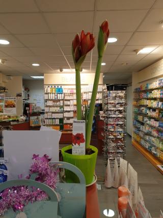 Pharmacie Pharmacie Mutualiste 0