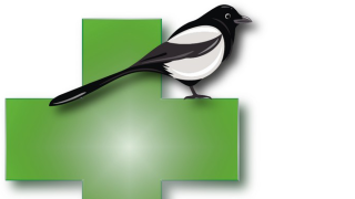 Pharmacie PHARMACIE BERTINA NICOLAS 0