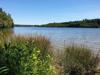 Pharmacie PHARMACIE DE LA VALLEE VIOLETTE 0