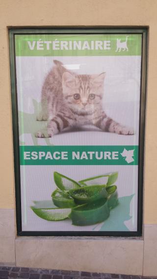 Pharmacie Pharmacie du Centre Ville 0