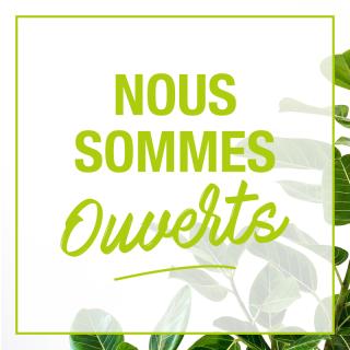 Pharmacie Pharmacie Lafayette du Lac 0