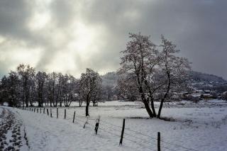 Pharmacie Selarl Pharmacie Cassagnou 0