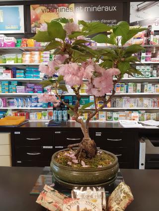 Pharmacie Pharmacie Centrale Kuoch 0