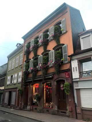 Pharmacie Pharmacie du Cygne 0