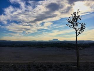 Pharmacie Pharmacie de l'Arbois 0