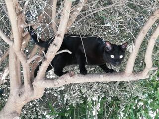 Pharmacie Clinique vétérinaire Les Rodettes 0