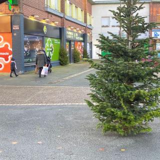 Pharmacie Pharmacie Lafayette des Blancs Monts 0