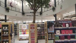 Pharmacie Pharmacie Rocade Sainte Catherine 0