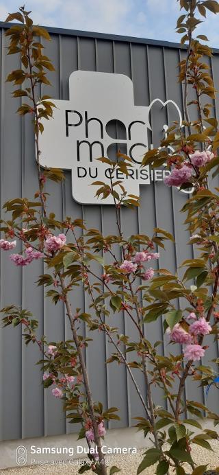 Pharmacie Pharmacie du Cerisier 2